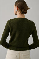 Світло Циган